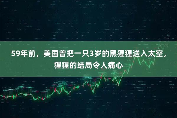 59年前，美国曾把一只3岁的黑猩猩送入太空，猩猩的结局令人痛心