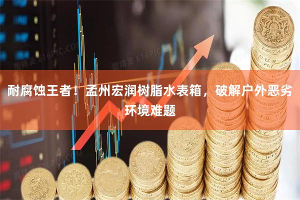耐腐蚀王者！孟州宏润树脂水表箱，破解户外恶劣环境难题